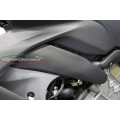 Carbonvani - Ducati Panigale / Streetfighter V4 / S / R / Speciale Carbon Fiber Frame (Fuel Tank Side) Covers